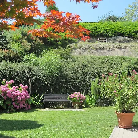 Agnes Nyaralohaz * زلاكاروس