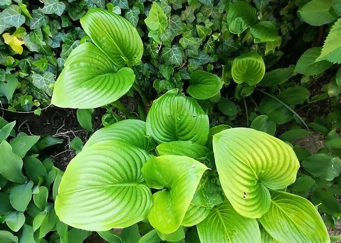 Agnes Nyaralohaz Semesterbostad *